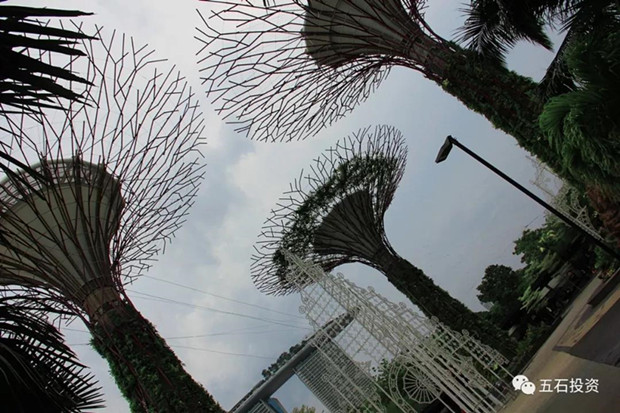 1575425681829351.jpg ΢ÐÅͼƬ_20191204091107_¸±±¾.jpg