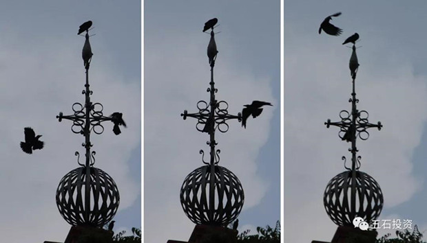 1575425841585662.jpg ΢ÐÅͼƬ_20191204091140_¸±±¾.jpg