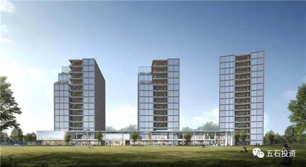 1630569020277124.jpg 2.jpg