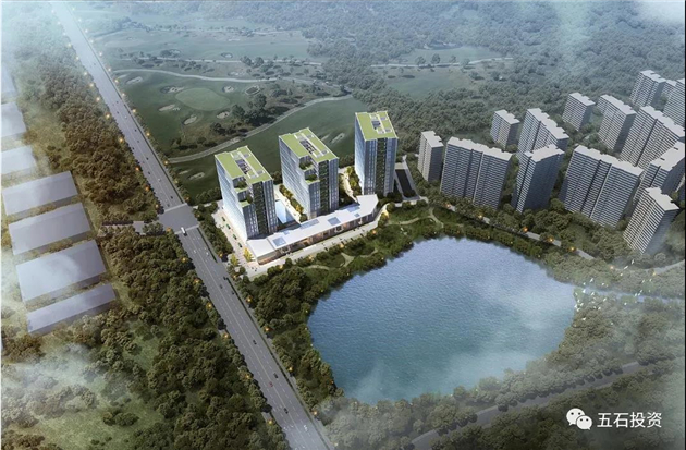 1630569093112777.jpg 3.jpg